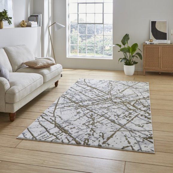 Artemis Gold/Silver B8403A Rug