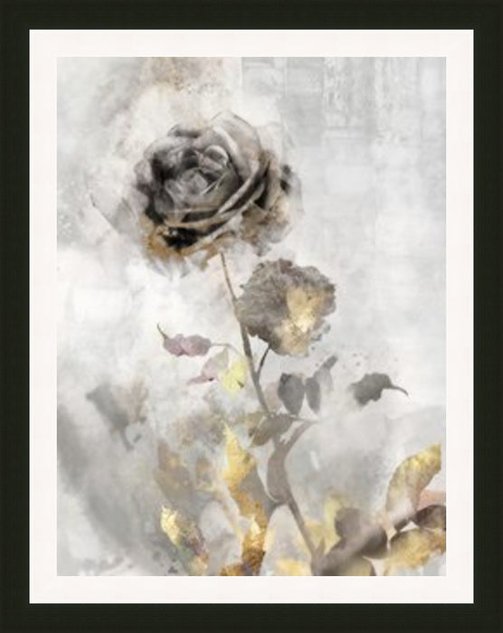 Black Roses 2 - Large