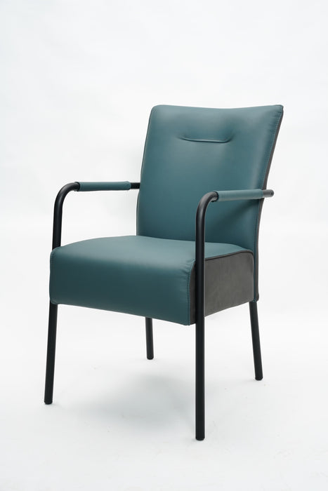 James Dining Chair - Leather