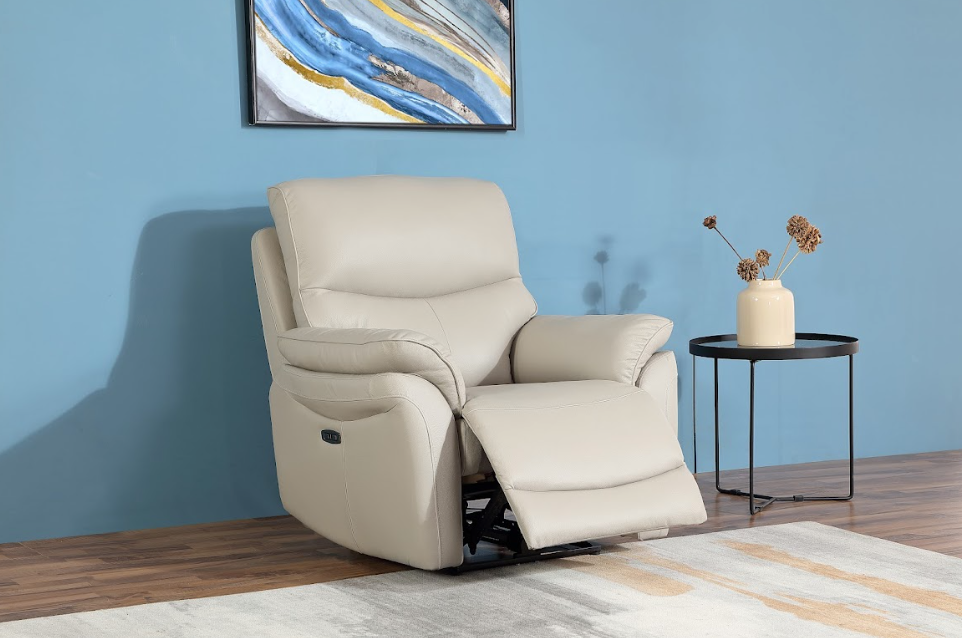 Ricardo 1 Seater Recliner