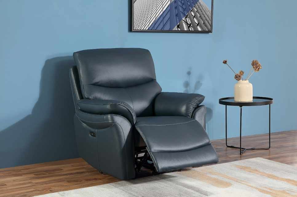 Ricardo 1 Seater Recliner